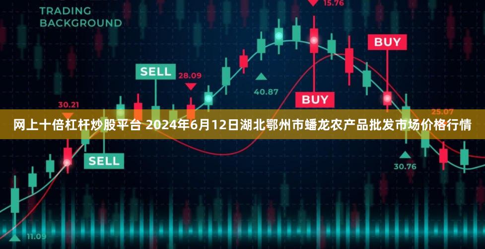 网上十倍杠杆炒股平台 2024年6月12日湖北鄂州市蟠龙农产品批发市场价格行情