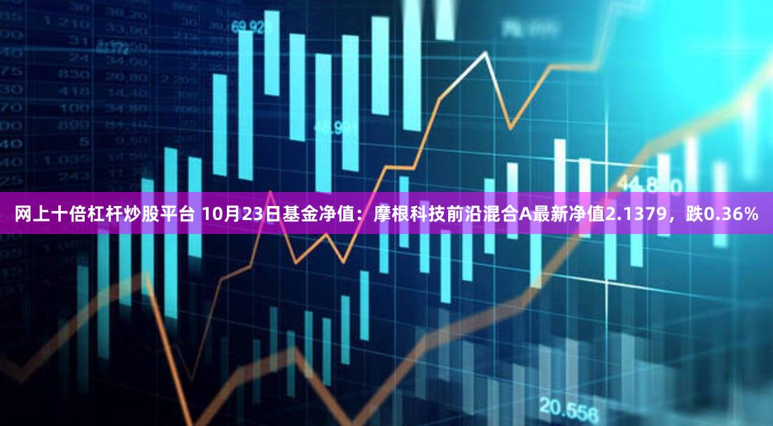 网上十倍杠杆炒股平台 10月23日基金净值：摩根科技前沿混合A最新净值2.1379，跌0.36%