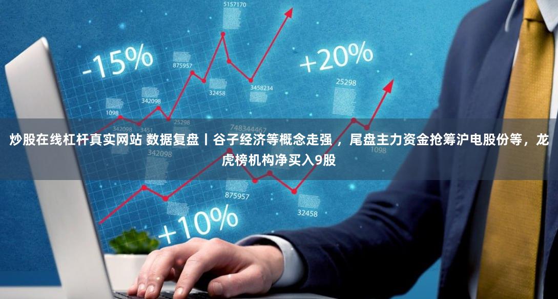 炒股在线杠杆真实网站 数据复盘丨谷子经济等概念走强 ，尾盘主力资金抢筹沪电股份等，龙虎榜机构净买入9股