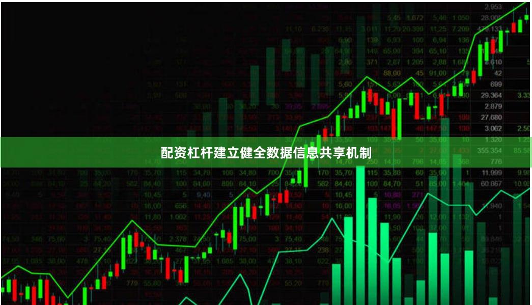 配资杠杆建立健全数据信息共享机制